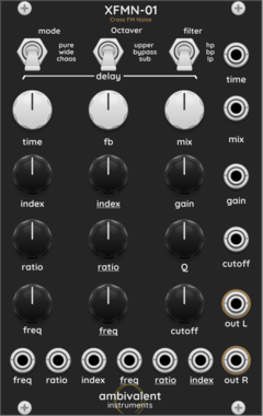 Ambivalent Instruments XFMN01