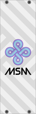 MSM Blank Panel